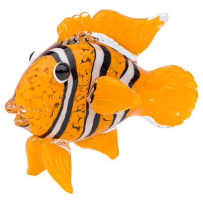 Glass Clown Fish