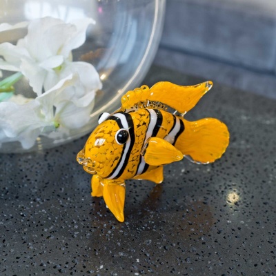 Glass Clown Fish in our Showroom